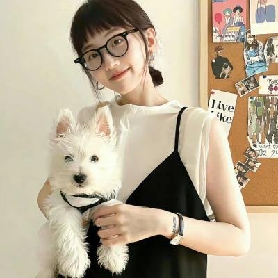 终极制裁者