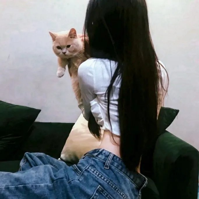 巧盗美人心
